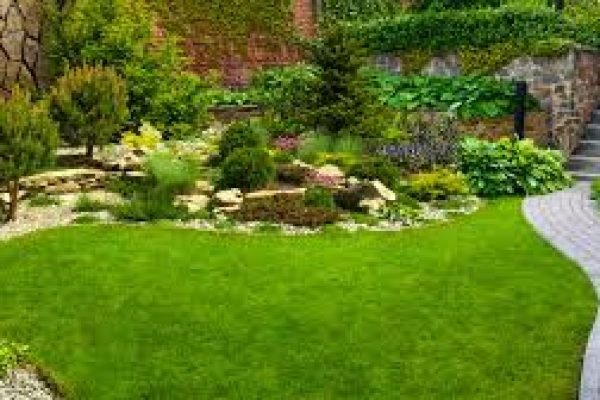 images (1)