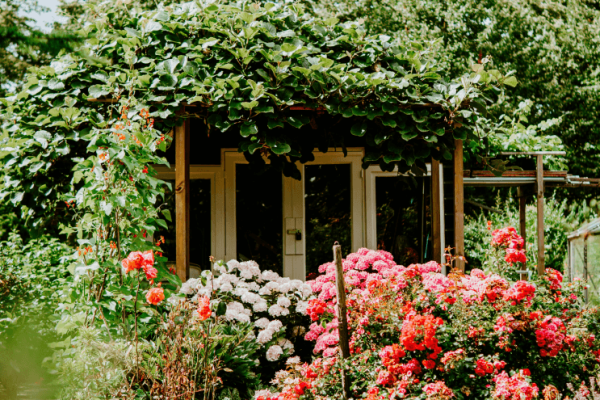 project-image09